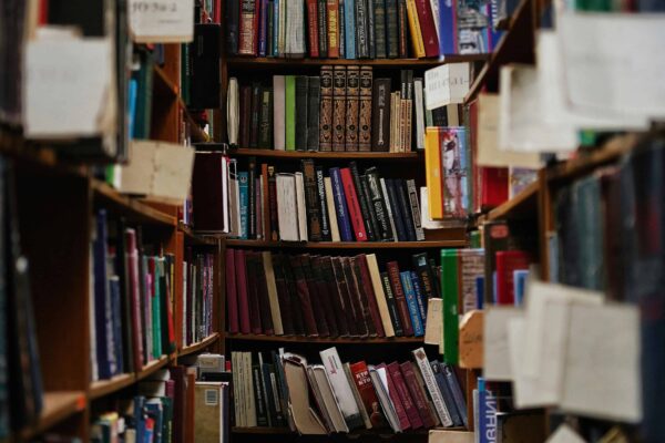 a bookshelves filled with books